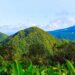 Guadeloupe is surging the travel Industry With New Visa-Free Entry Policy For 98 Countries, Including Schengen Nations, Brazil And Kuwait – Travel And Tour World