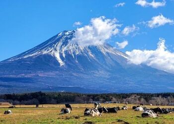 What is Mount Spurr? What to know about the Alaska volcano that could erupt soon – USA TODAY