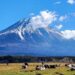 What is Mount Spurr? What to know about the Alaska volcano that could erupt soon – USA TODAY