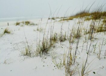 Gulf of America Day, 2025 – The White House