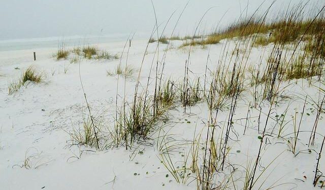 Gulf of America Day, 2025 – The White House