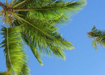 Eastern Caribbean States prepare for XVI Ministerial Forum for Development in Latin America and the Caribbean – UNDP