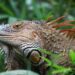 Tourism, Airlines Oppose Costa Rica’s Low-Cost Flight Proposal – The Tico Times