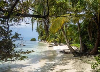 Some Caribbean islands see almost ‘total destruction’ after Hurricane Beryl – USA TODAY