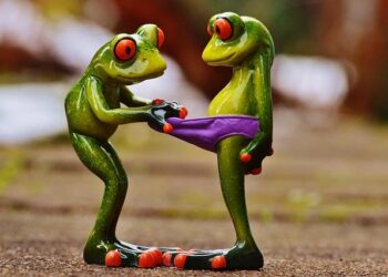 Glimmer of hope for mountain chicken frog which was once a national dish – BBC.com