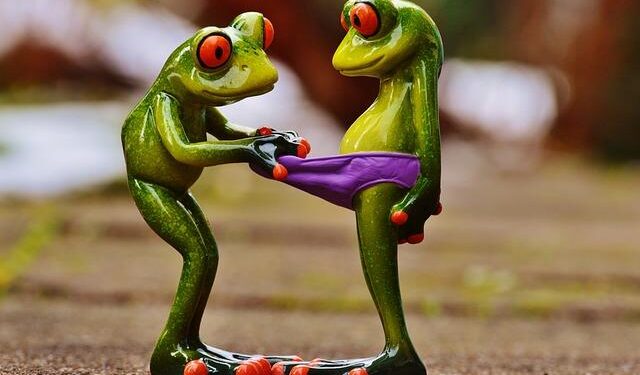 Glimmer of hope for mountain chicken frog which was once a national dish – BBC.com