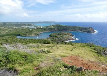 Antigua and Barbuda’s youth orchestra plays to inspire – BBC.com