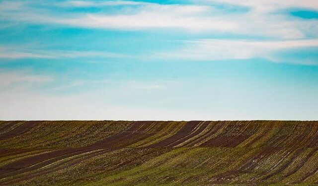 What does Maga-land look like? Let me show you America’s unbeautiful suburban sprawl | Alexander Hurst – The Guardian