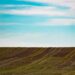 What does Maga-land look like? Let me show you America’s unbeautiful suburban sprawl | Alexander Hurst – The Guardian
