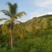 Joint Statement Delivered by Ambassador Linda Thomas-Greenfield at the UN Security Council Stakeout on the Adoption of the Haiti MSS Mission Renewal – United States Mission to the United Nations