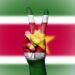Suriname country profile – BBC.com