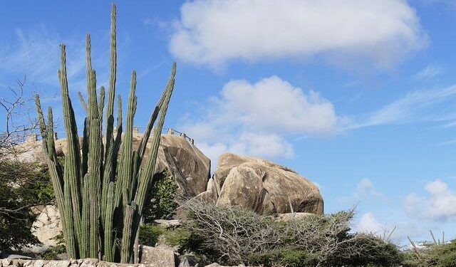 Aruba Airport Strengthens Latin American Partnerships at ANATO Vitrina Turística 2024 – Routesonline