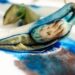 Nearly 95 people sick in fourth Holland America cruise norovirus outbreak this year – USA TODAY