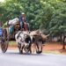 A Mission Team Came To Paraguay With Big Dreams, But God’s Plans Were Bigger – Religion Unplugged
