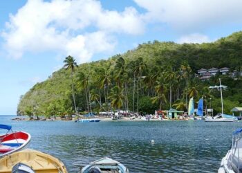 Nearly US$100 million awarded to family of St Lucia-born man fatally shot in his apartment by officer – Jamaica Gleaner