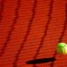 USA And Germany Take Top Honors At Costa Rica Coffee Bowl Tennis Tournament : – The Tico Times