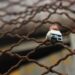 US secures release of 135 political prisoners from Nicaragua – BBC.com