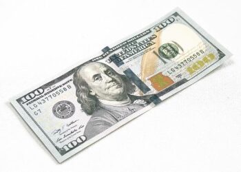 Noboa issues order for Congress to ratify U.S. dollar as sole currency in Ecuador – Latin America Reports