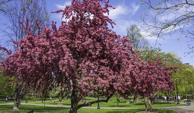 Massachusetts Spot Named Among ‘Best Summer Vacation Spots’ In US For 2025 – iHeart