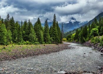 From Montana to Maine, Communities That Border Canada Worry U.S. Tariffs Come at a Personal Cost – Flathead Beacon
