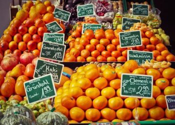 Eight farmers’ organizations in Saint Lucia embark on the road to Capacity Building with FAO, IICA and IFAD – Food and Agriculture Organization of the United Nations
