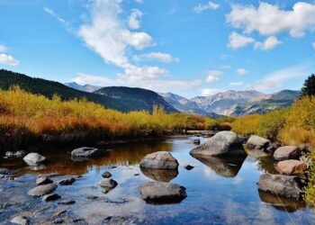 How Coloradans can protect themselves in fascist America – Colorado Newsline