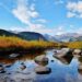 How Coloradans can protect themselves in fascist America – Colorado Newsline