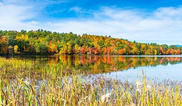 New Hampshire ranked the freest state in North America for the 23rd year – THE JOSIAH BARTLETT CENTER FOR PUBLIC POLICY