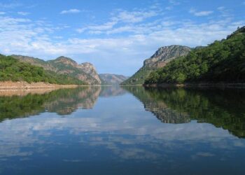 Support for Mozambique LNG: Washington split over US energy priorities – Energynews