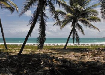 Martinique’s Accession to the Organisation of Eastern Caribbean States: A New Chapter in Caribbean Regionalism? – The Round Table
