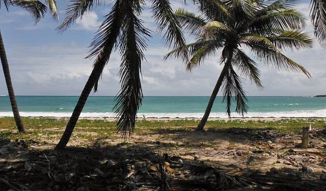 Martinique’s Accession to the Organisation of Eastern Caribbean States: A New Chapter in Caribbean Regionalism? – The Round Table