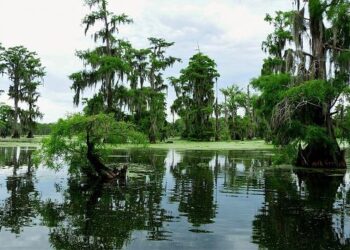 Louisiana ranked worst state as pollution, poverty, violence among factors in U.S. News report – Shreveport Times