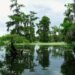 Louisiana ranked worst state as pollution, poverty, violence among factors in U.S. News report – Shreveport Times