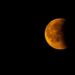 15 Best Places On The U.S. East Coast To See Next Saturday’s Eclipse – Forbes