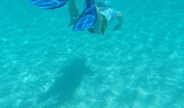 The best time to visit Anguilla for winter sun, island festivities and escaping the crowds – Lonely Planet Travel News