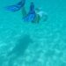 The best time to visit Anguilla for winter sun, island festivities and escaping the crowds – Lonely Planet Travel News