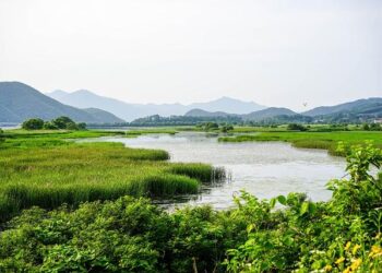 Reimagining wetland restoration in Minnesota – US Fish and Wildlife Service