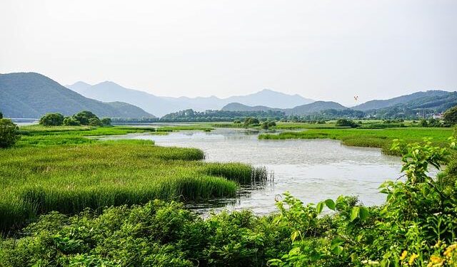 Reimagining wetland restoration in Minnesota – US Fish and Wildlife Service