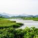 Reimagining wetland restoration in Minnesota – US Fish and Wildlife Service