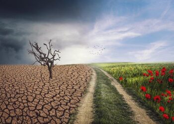 Governor issues executive order expanding and investing in climate-ready and infrastructure workforce for New Mexico – Office of the Governor