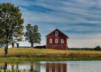 Shifting politics: Understanding Ohio’s evolving role as a swing state – The Daily | Case Western Reserve University