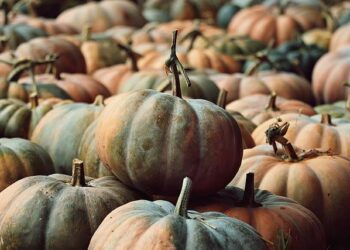 Pumpkins: Background & Statistics – usda.gov