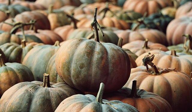Pumpkins: Background & Statistics – usda.gov