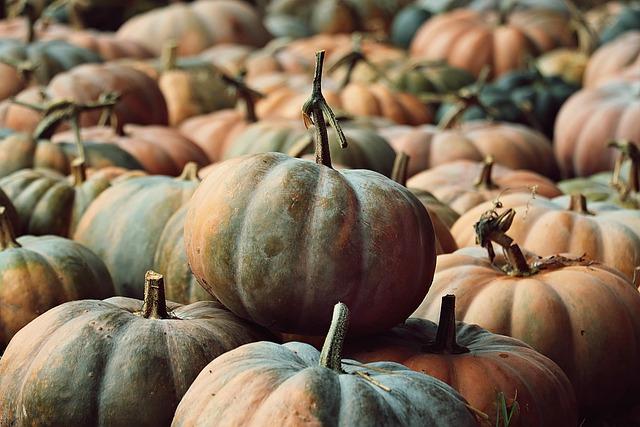 Pumpkins: Background & Statistics – usda.gov