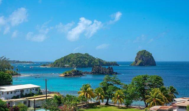 Saint Vincent and the Grenadines – Pan American Health Organization