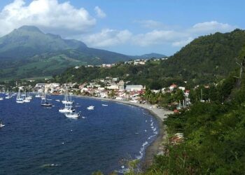 Bringing Martinique’s Rhum to America – Caribbean Journal