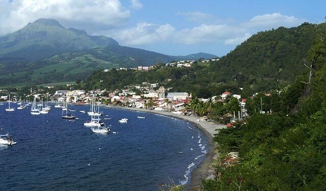 Bringing Martinique’s Rhum to America – Caribbean Journal