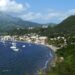 Bringing Martinique’s Rhum to America – Caribbean Journal