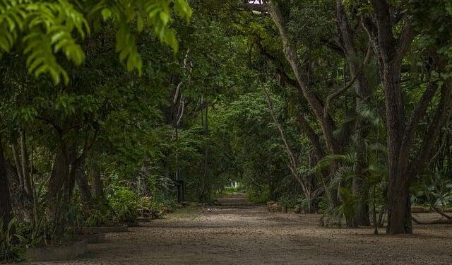 Venezuela’s Latest Outrageous Moves Against Guyana – globalamericans.org