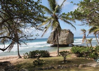 Barbados Welcomes the First-Ever American Airlines Flight from Philadelphia – AviationSource News